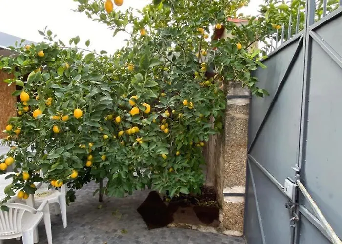 Local Dos Reis * Lardosa